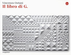 Libro Il libro di G. Vincenzo Ostuni