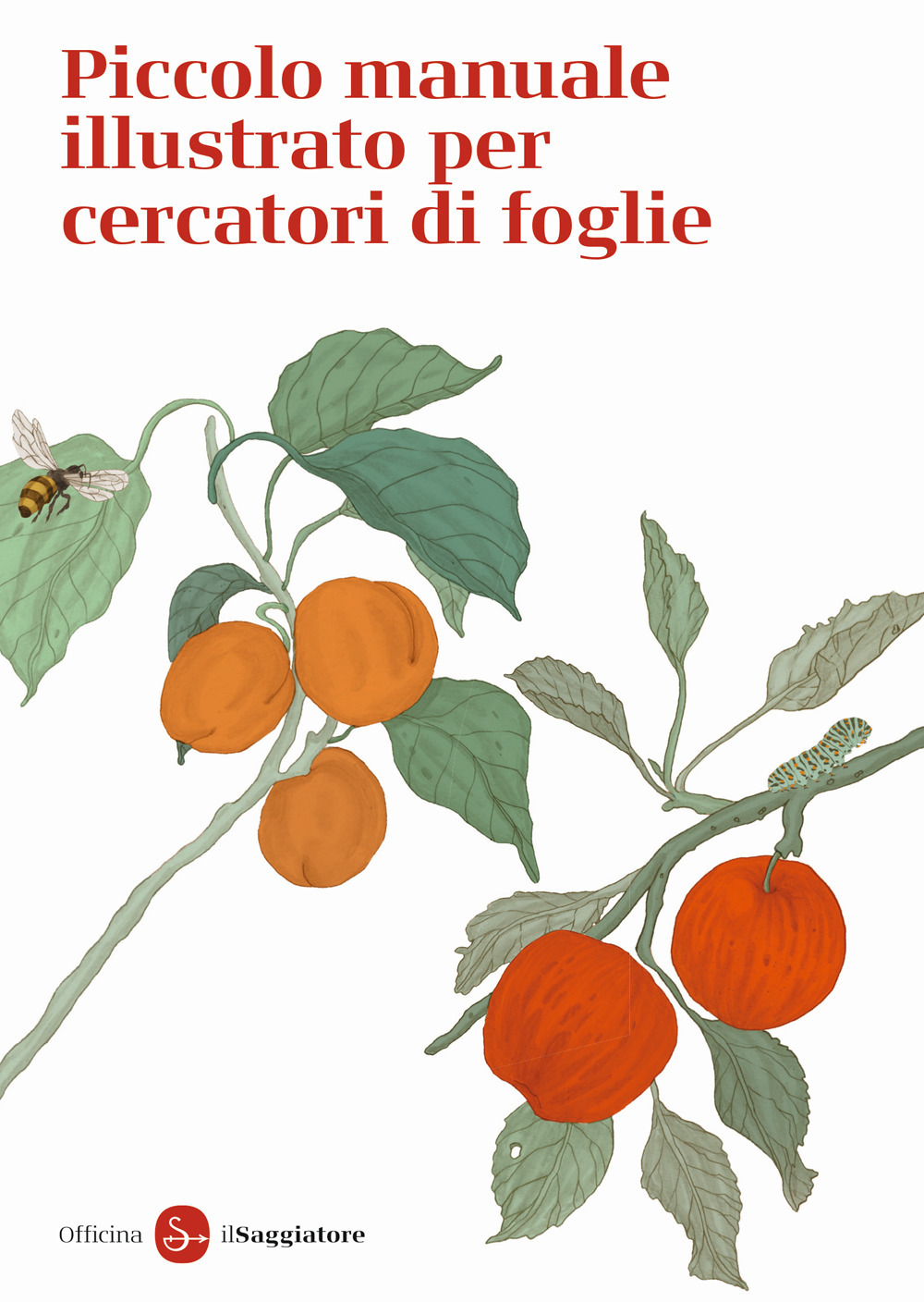 Image of Piccolo manuale illustrato per cercatori di foglie. Ediz. a colori