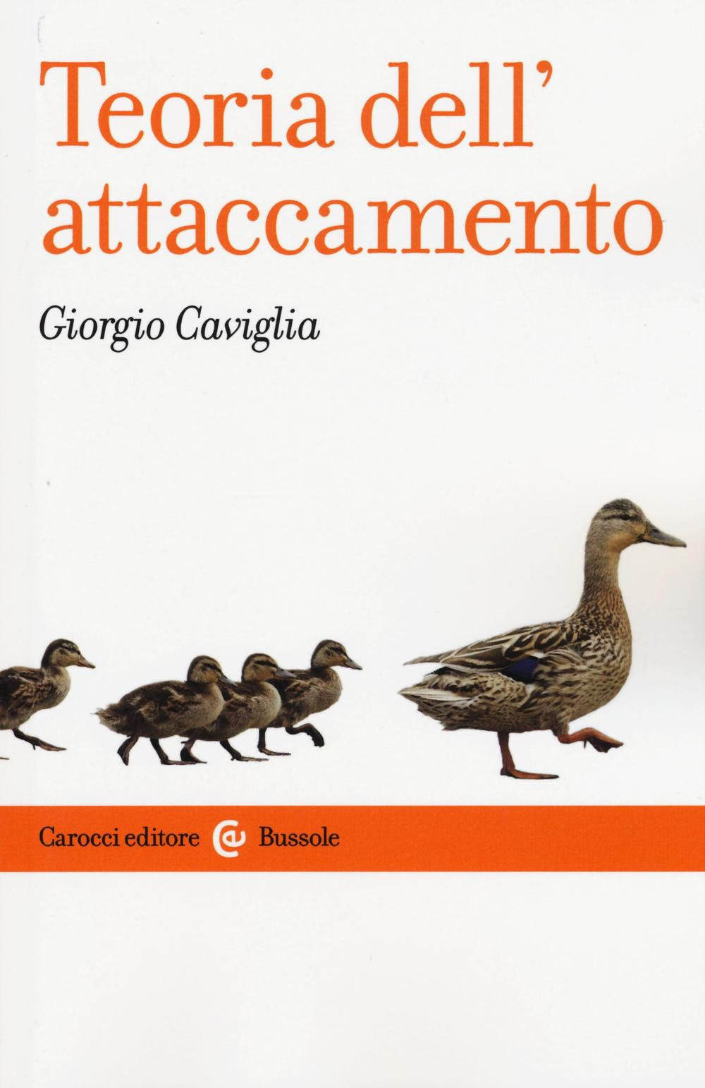 Teoria dell'attaccamento. Storia, strumenti, psicopatologia