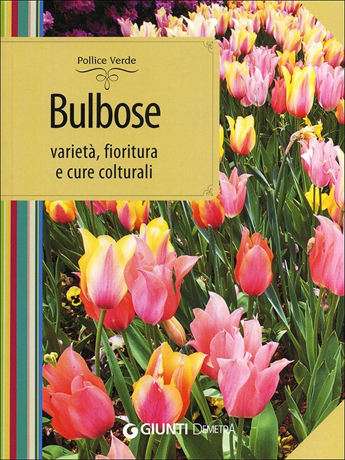 Bulbose. Varietà, fioritura e cure colturali