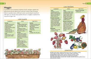 Calendario Lunare Di Tutti I Lavori Agricoli Libro Demetra Pollice Verde Ibs