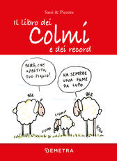 Libro Il libro dei colmi e dei record Sassi & Picozze
