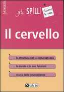 Libro Il cervello Stefano Menna Anna M. Zaccheddu