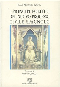 I principi politici del nuovo processo civile spagnolo Scarica PDF EPUB
