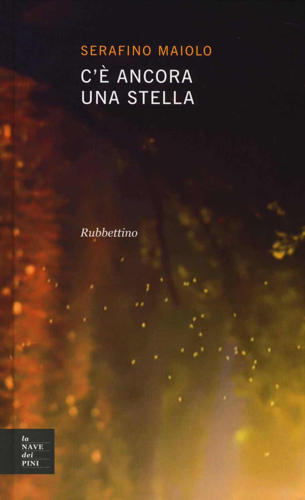 C'è ancora una stella Scarica PDF EPUB
