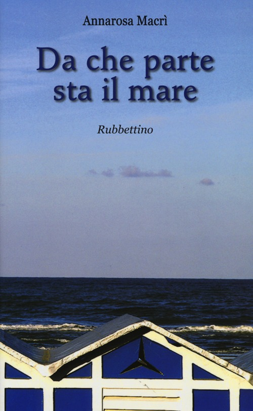 Da che parte sta il mare Scarica PDF EPUB
