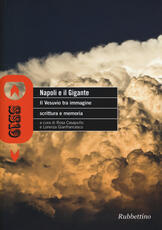 Libro Napoli e il gigante. Il Vesuvio tra immagine scrittura e memoria