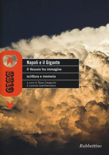 Napoli e il gigante. Il Vesuvio tra immagine scrittura e memoria.pdf