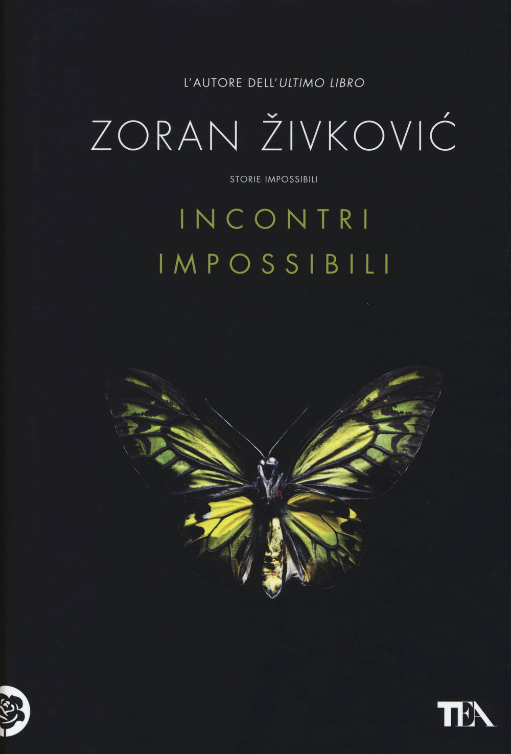 Incontri impossibili Scarica PDF EPUB
