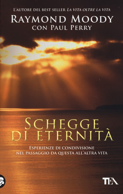 Schegge di eternità. Esperienze di condivisione nel passaggio da questa all'altra vita Scarica PDF EPUB
