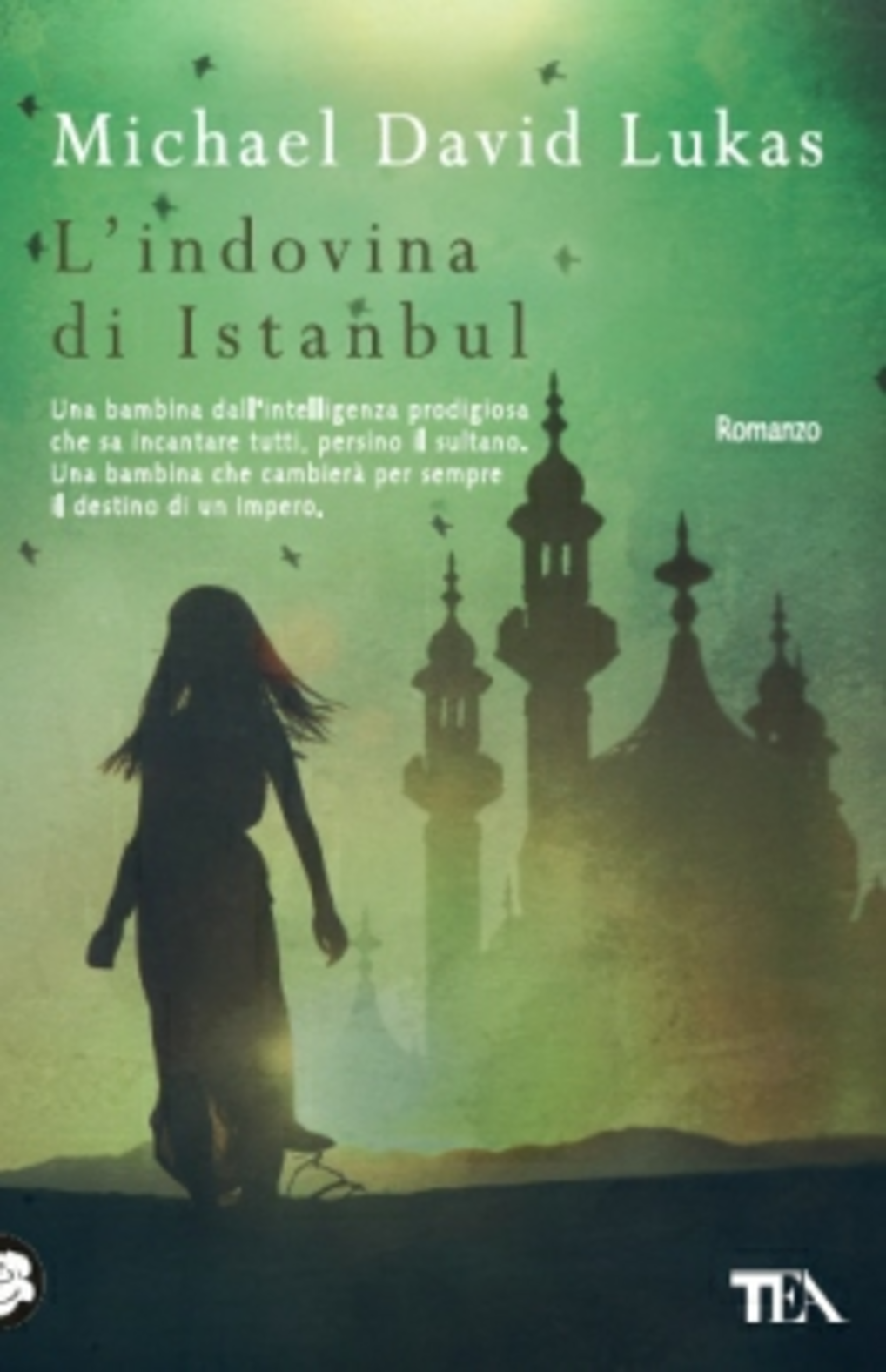 L' indovina di Istanbul Scarica PDF EPUB
