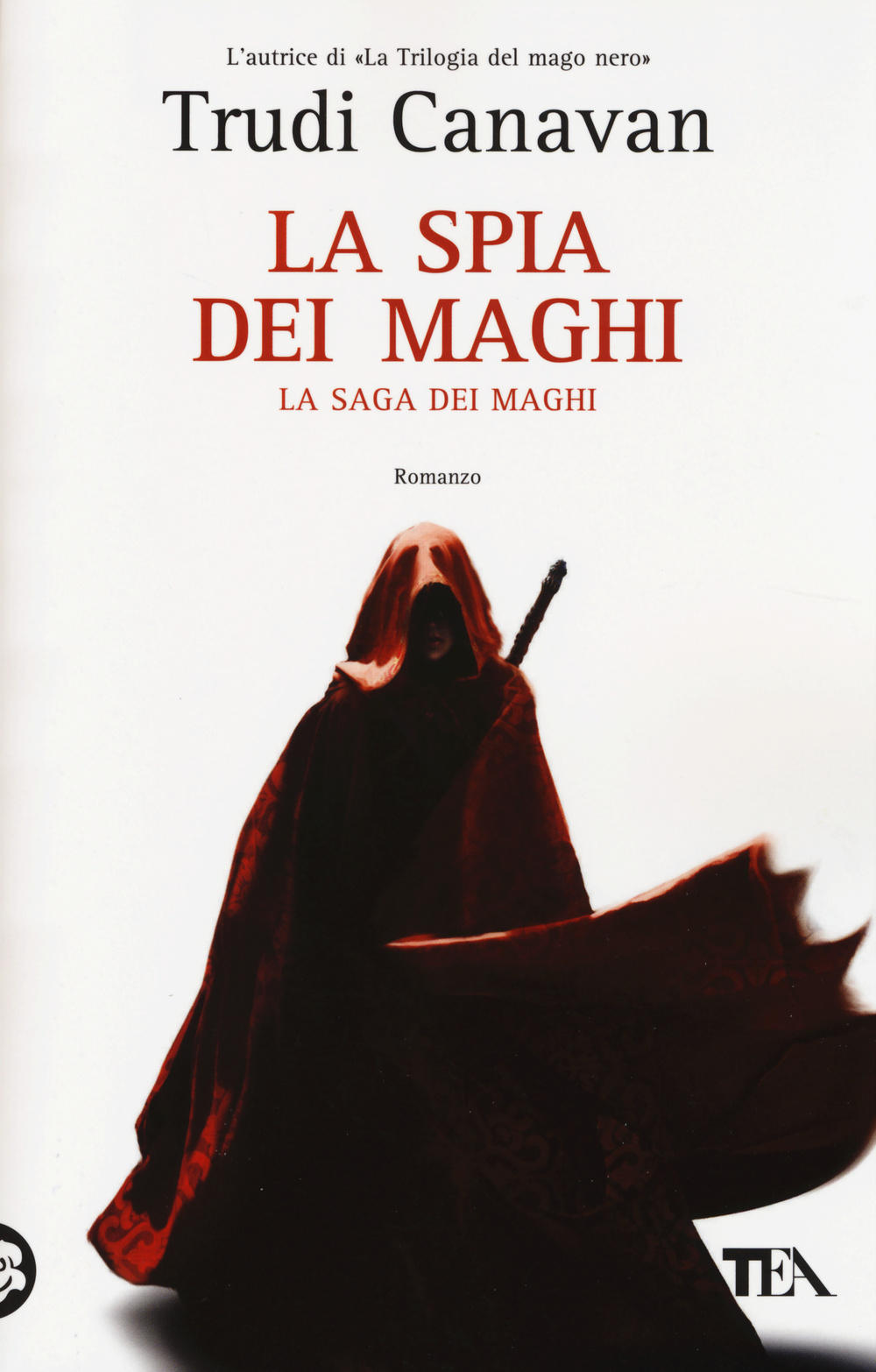 La spia dei maghi. La saga dei maghi Scarica PDF EPUB
