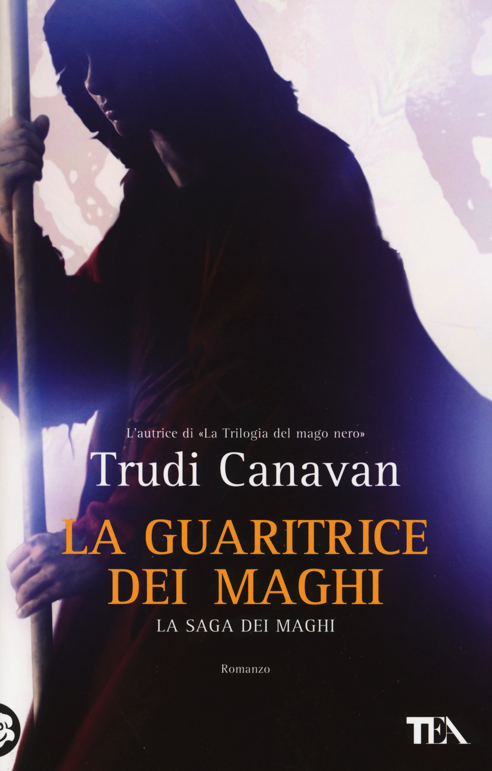 La guaritrice dei maghi. La saga dei maghi Scarica PDF EPUB
