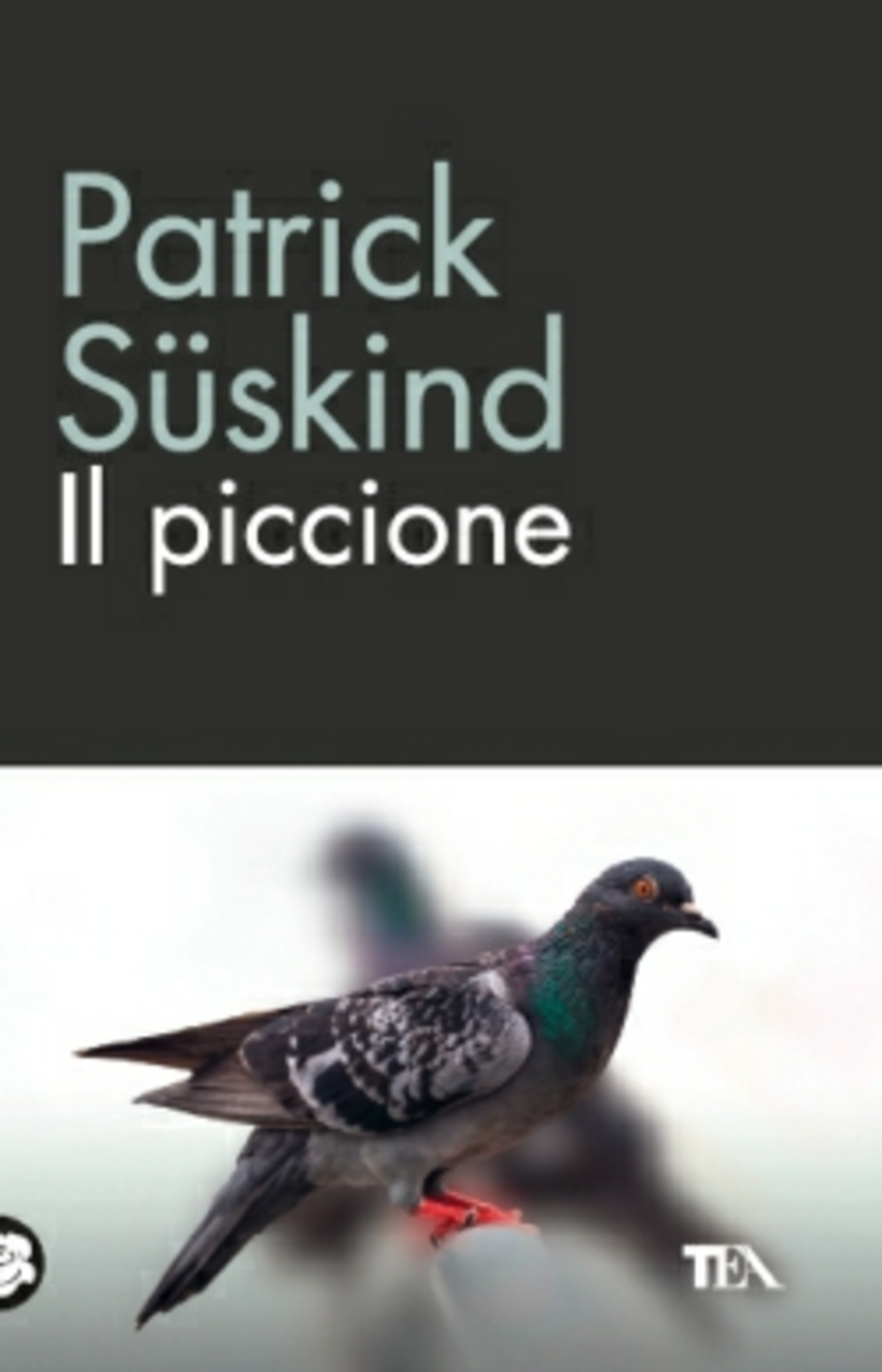 Il piccione Scarica PDF EPUB
