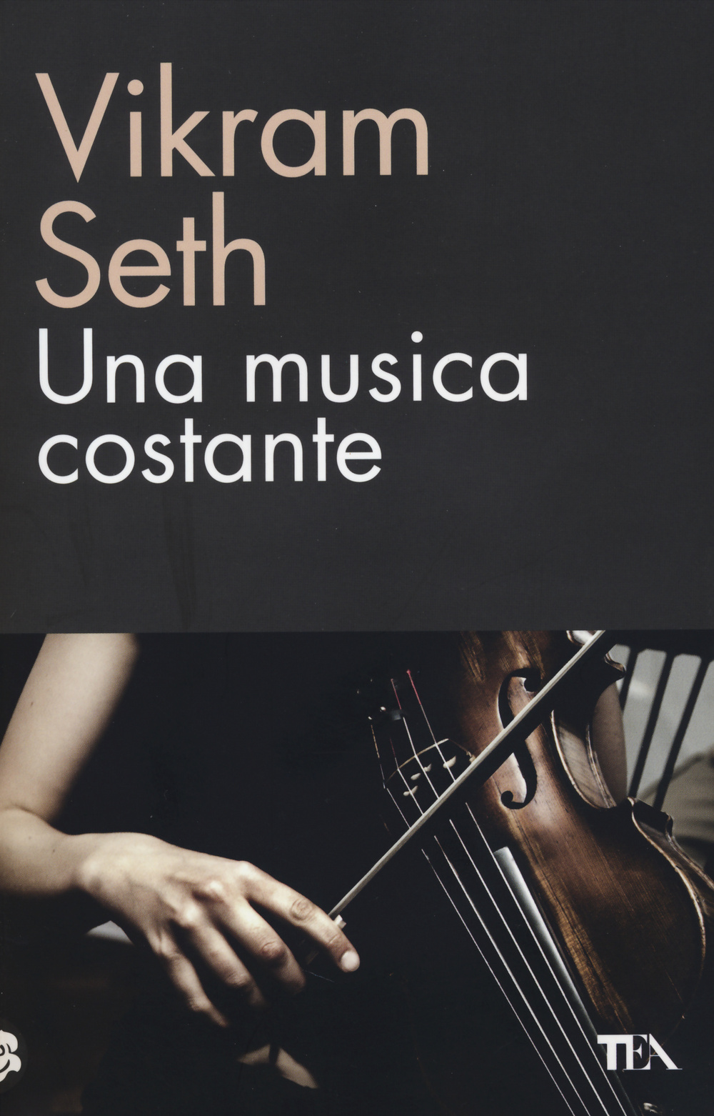 Una musica costante Scarica PDF EPUB
