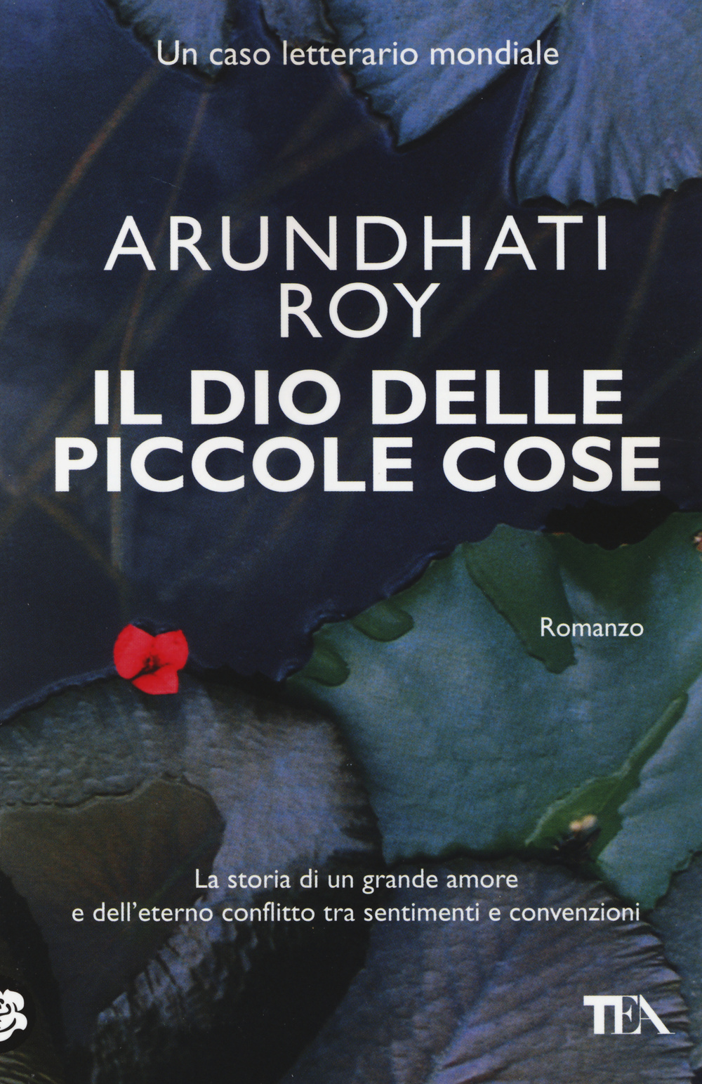 Il dio delle piccole cose Scarica PDF EPUB
