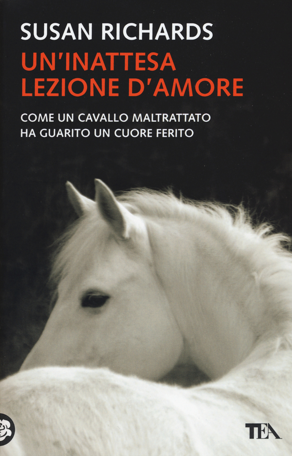 Un' inattesa lezione d'amore