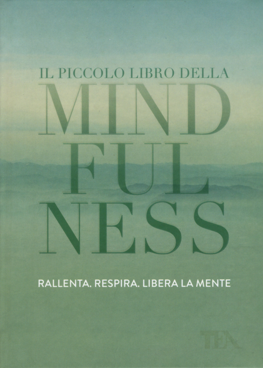 Il piccolo libro della mindfulness Scarica PDF EPUB
