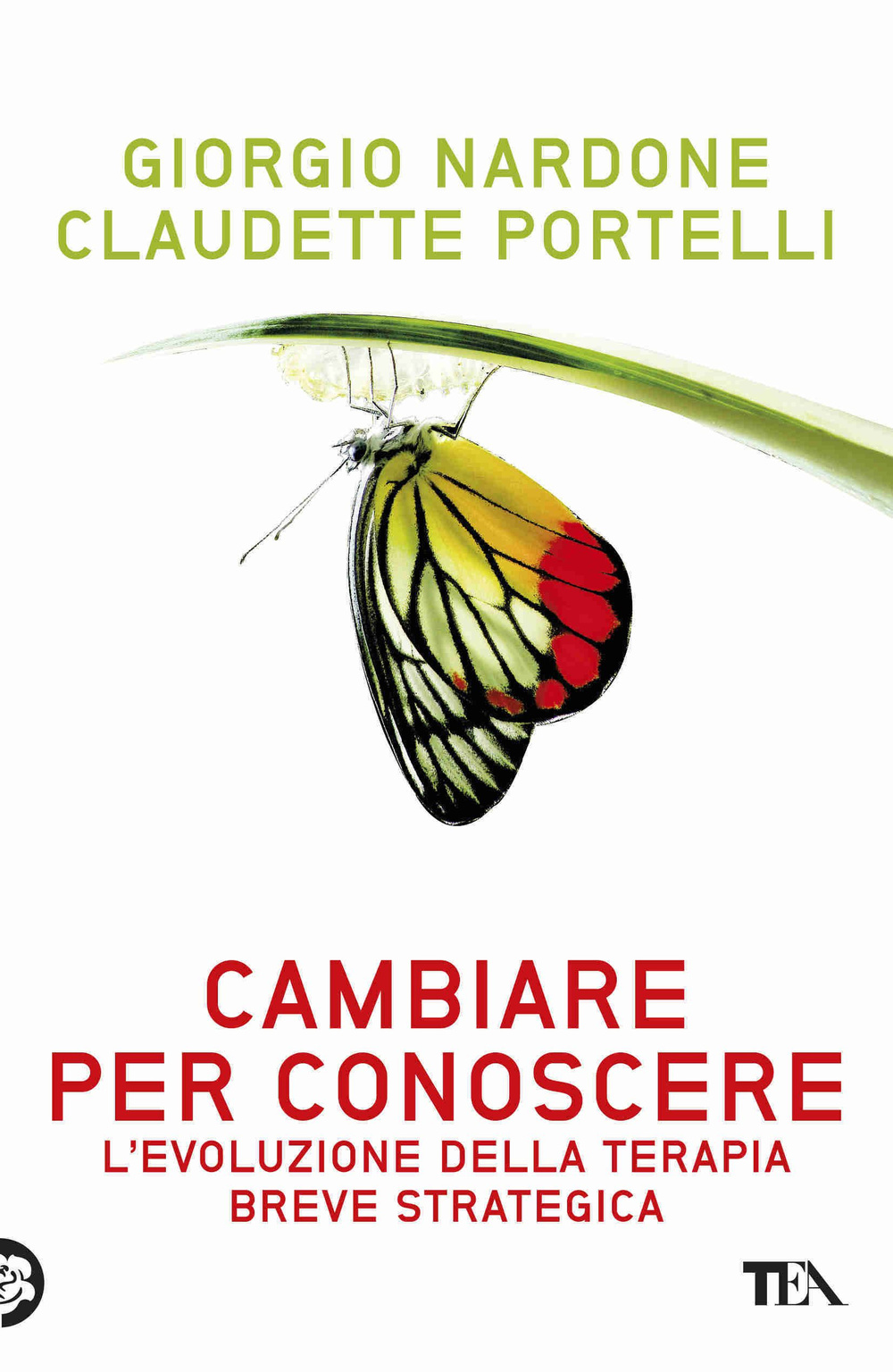 Cambiare per conoscere. Lo sviluppo della psicoterapia strategica breve Scarica PDF EPUB
