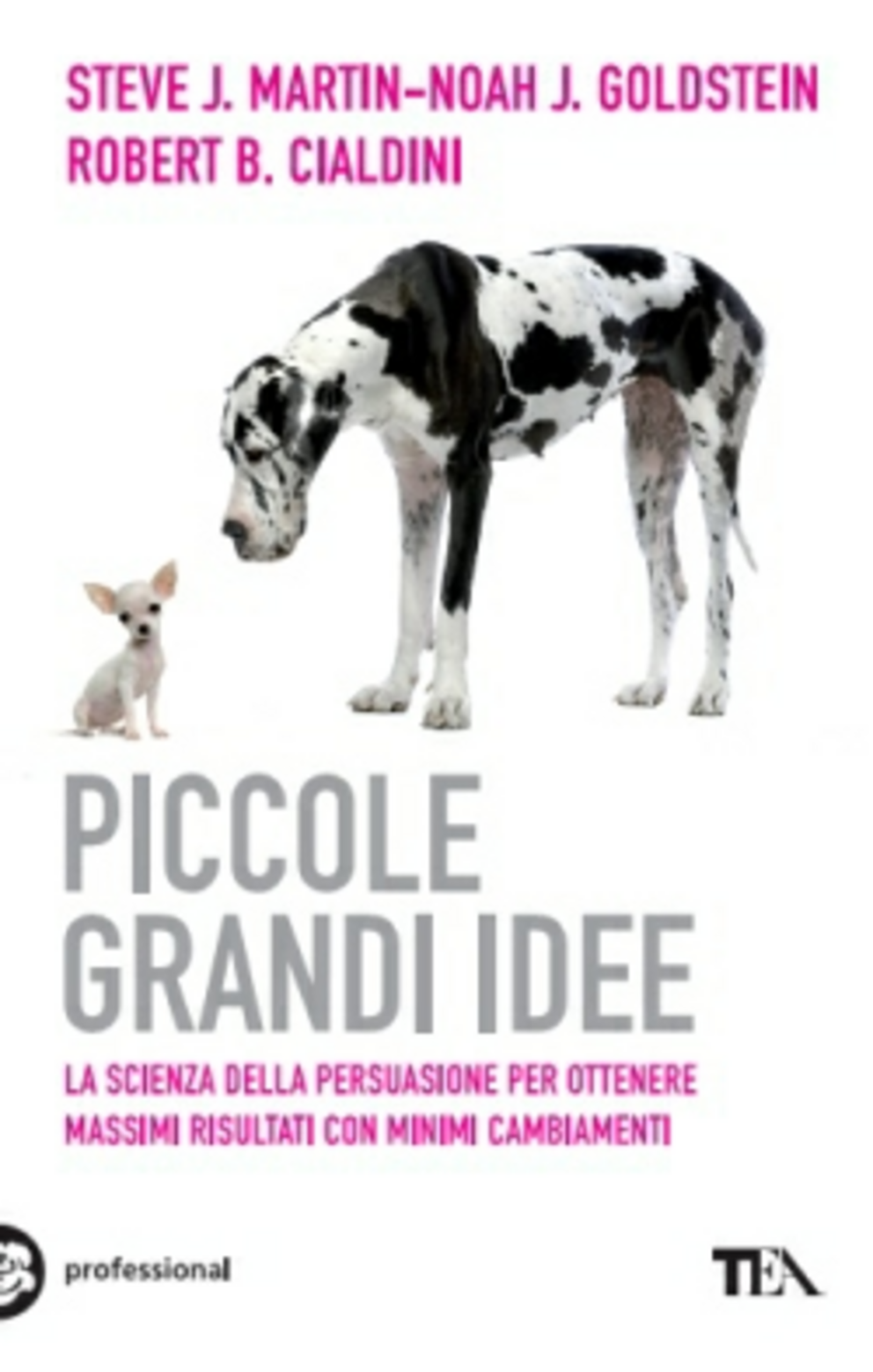 Piccole grandi idee. La scienza della persuasione per ottenere massimi risultati con minimi cambiamenti Scarica PDF EPUB
