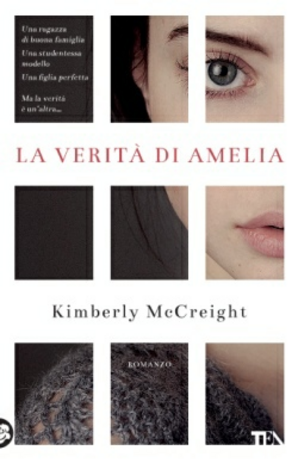 La verità di Amelia Scarica PDF EPUB
