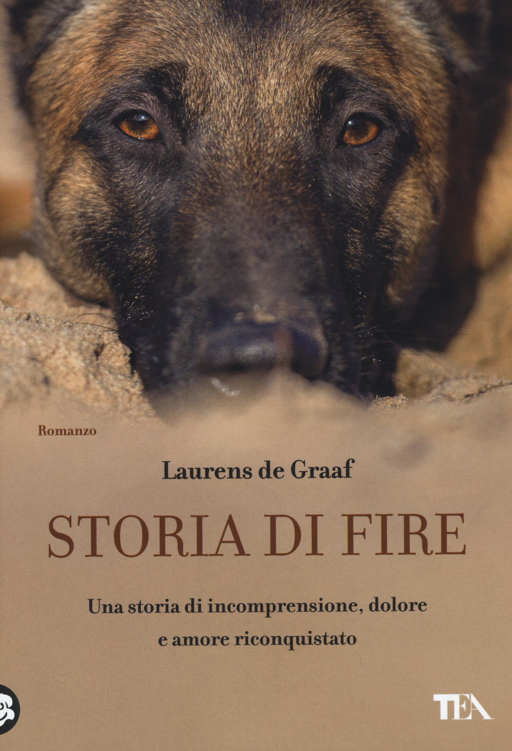 Storia di Fire Scarica PDF EPUB
