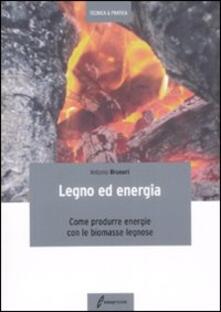 Legno ed energia. Come produrre energie con le biomasse legnose.pdf