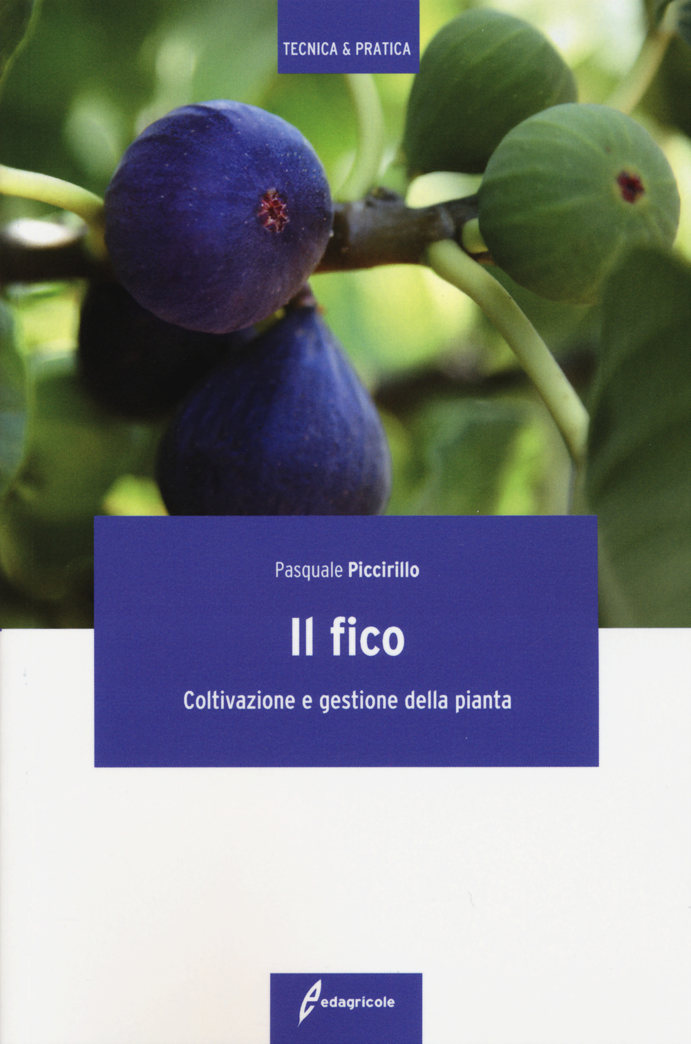 Image of Il fico. Coltivazione e gestione della pianta
