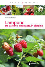 Libro Lampone sul balcone, in terrazzo, in giardino Giancarlo Bounous