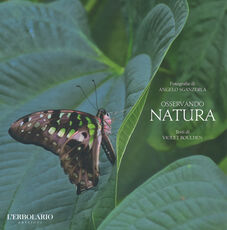 Libro Osservando natura. Ediz. illustrata Angelo Sganzerla Violet Boulden