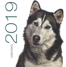 Cani. Calendario da muro 2019.pdf