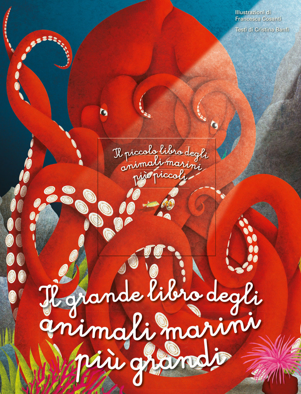 Image of Il grande libro degli animali marini più grandi. Il piccolo libro degli animali marini più piccoli. Ediz. a colori