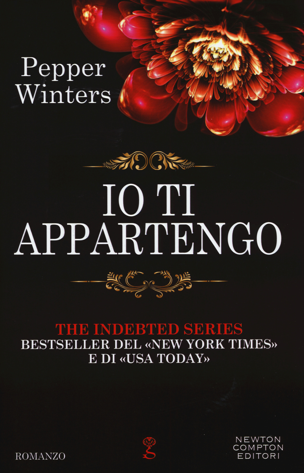 Io ti appartengo. The indebted series Scarica PDF EPUB
