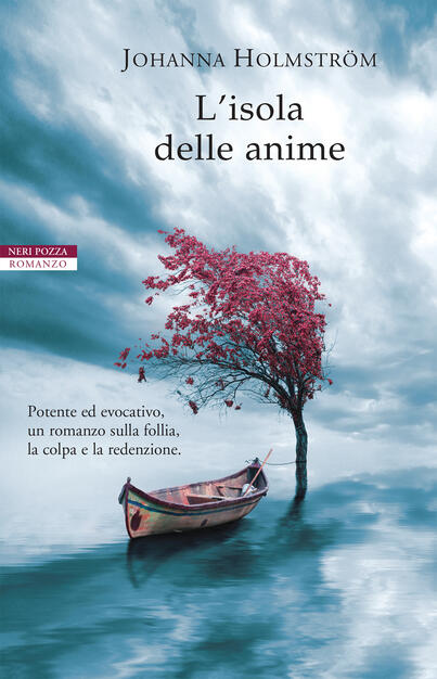 Risultati immagini per L' isola delle anime Johanna Holmström