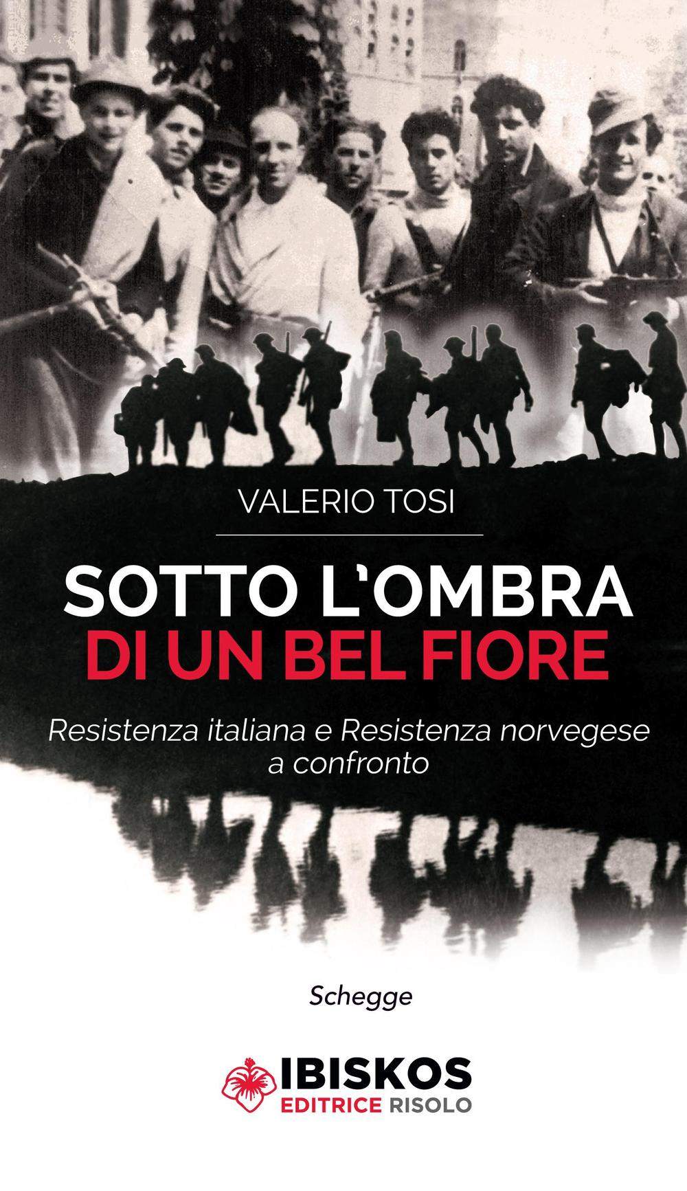 Sotto l'ombra di un bel fiore. Resistenza italiana e Resistenza norvegese a confronto