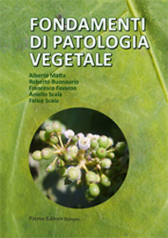 Fondamenti Di Patologia Vegetale Alberto Matta Roberto Buonaurio Libro Pàtron Ibs 3198