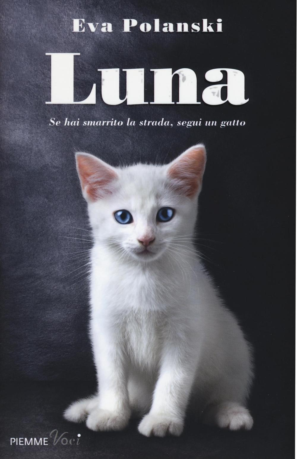 Luna. Se hai smarrito la strada, segui un gatto