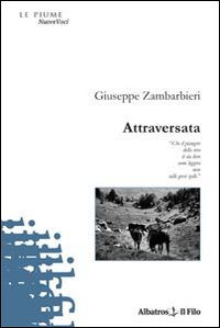 Attraversata Scarica PDF EPUB
