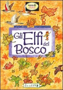 Gli elfi del bosco. Ediz. illustrata.pdf