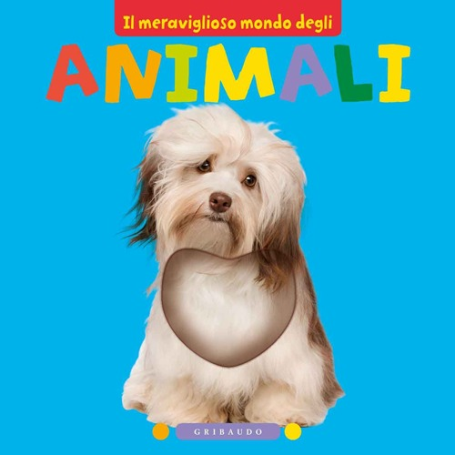 Il meraviglioso mondo degli animali