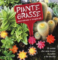 Libro Piante grasse succulente e subtropicali. Il verde che non teme il caldo e la siccità Lorena Lombroso Simona Pareschi