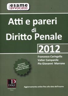 Atti e pareri di diritto penale.pdf