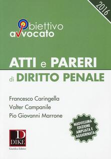 Atti e pareri di diritto penale.pdf