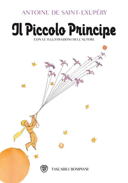 Piccolo Principe Ediz Illustrata