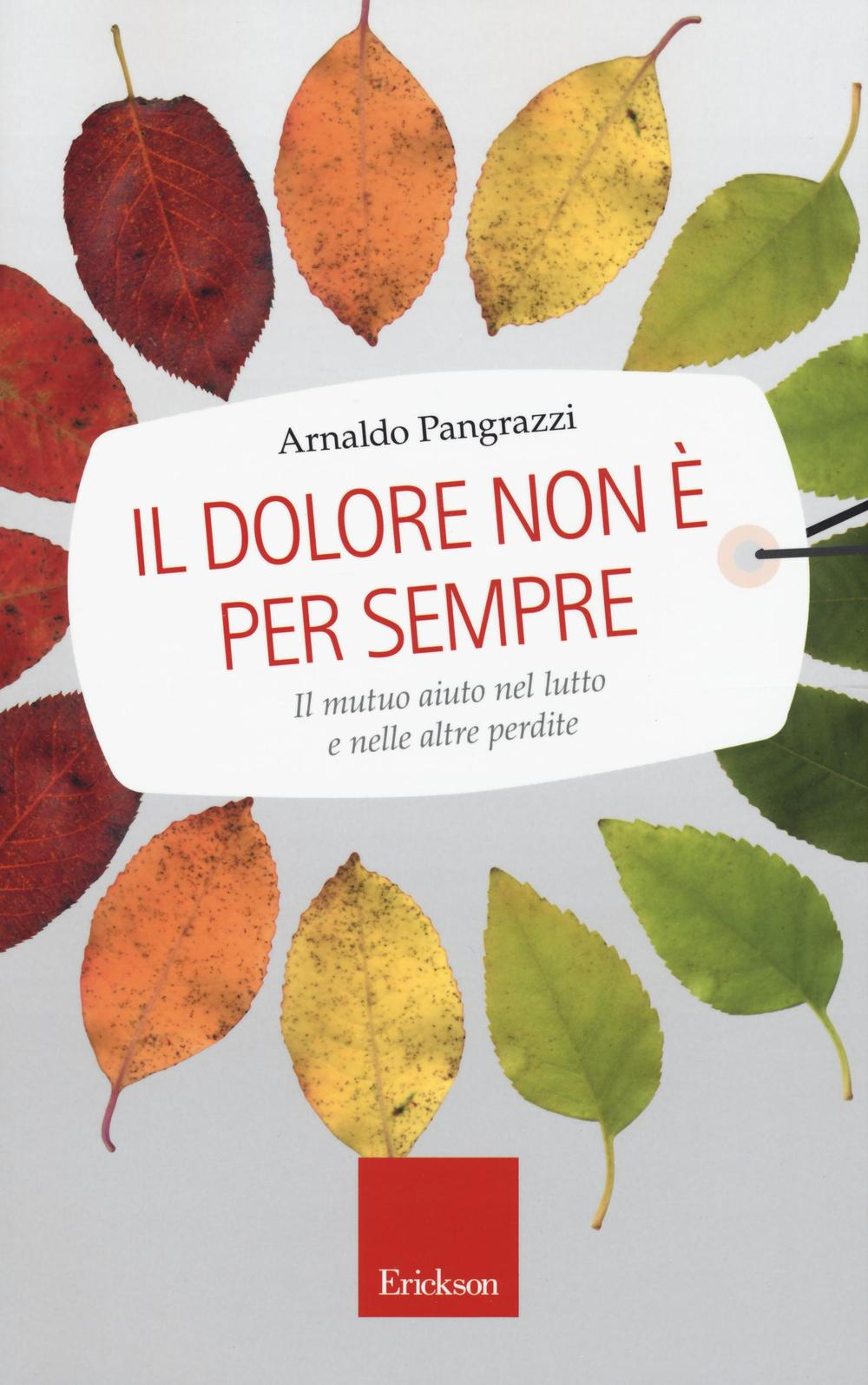 Il dolore non è per sempre. Il mutuo aiuto nel lutto e nelle altre perdite Scarica PDF EPUB
