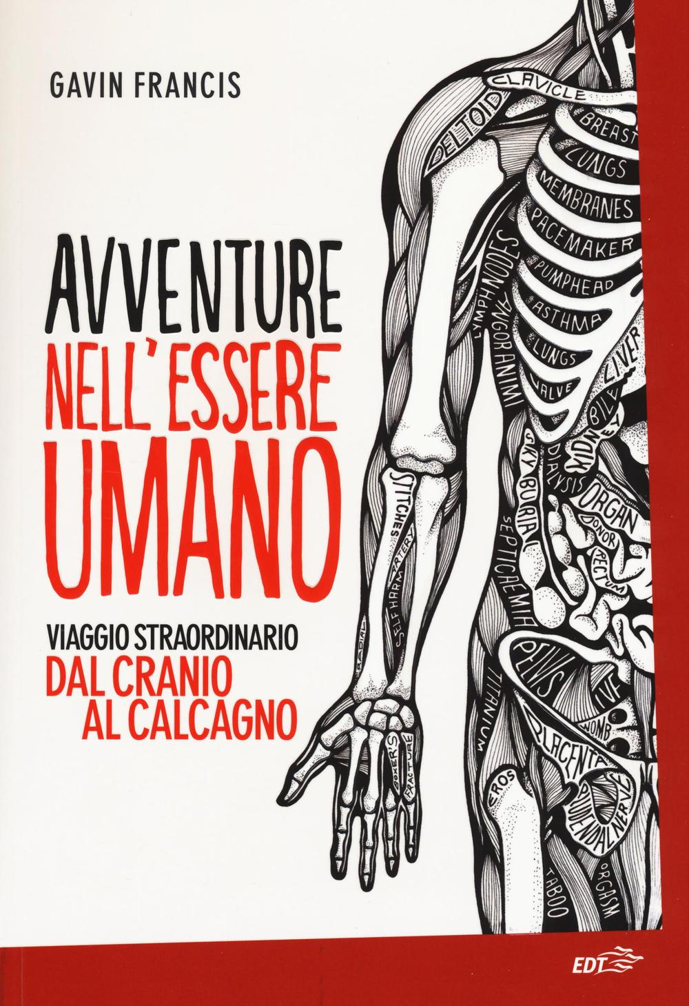 Avventure nell'essere umano. Viaggio straordinario dal cranio al calcagno Scarica PDF EPUB
