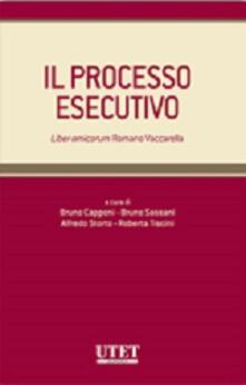 Il processo esecutivo.pdf