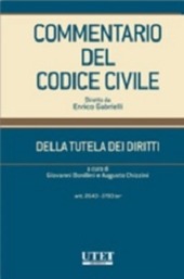 Copertina  [14], Della tutela dei diritti 