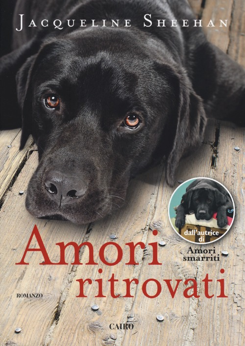 Amori ritrovati Scarica PDF EPUB
