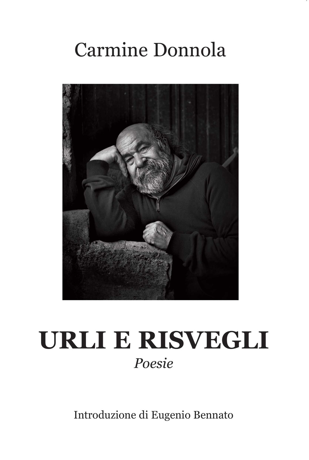 Urla e risvegli Scarica PDF EPUB
